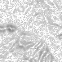 Topographic map contour background. Topo map with elevation. Contour map vector. Geographic World Topography map grid abstract vector illustration .