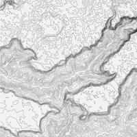 Topographic map contour background. Topo map with elevation. Contour map vector. Geographic World Topography map grid abstract vector illustration .