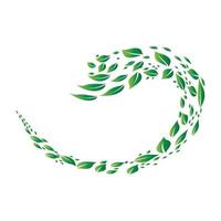 Leaf green logo and symbol vector