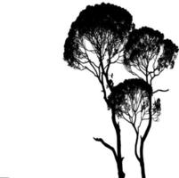 vector blanco y negro de un árbol