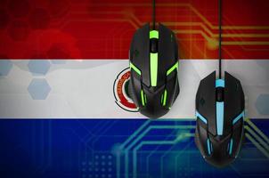 Paraguay flag and two mice with backlight. Online cooperative games. Cyber sport team photo
