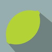 Lime flat icon vector