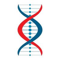 New DNA and molecule sign vector