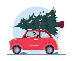 feliz navidad ilustración. hombre conduciendo coche lleva un árbol de navidad vector