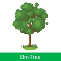 Elm-Tree cartoon icon vector