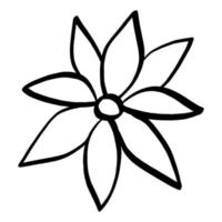 Black line doodle flower on white background. Vector illustration about nature.