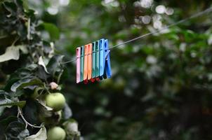 Clothespins on a rope hanging outside house and apple tree photo