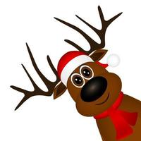 Funny reindeer in a scarf for christmas smiling vector