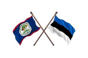 Belize versus Estonia Two Country Flags photo