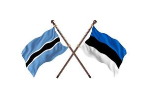 Botswana versus Estonia Two Country Flags photo