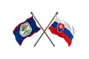 Belize versus Slovakia Two Country Flags photo