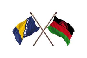 Bosnia versus Malawi Two Country Flags photo