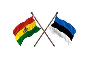 Bolivia versus Estonia Two Country Flags photo