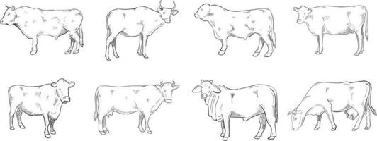 ilustración de arte de línea de vaca vector