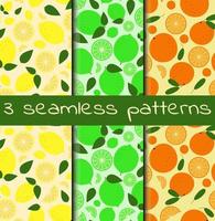 Summer pattern with oranges on a yellow background vector