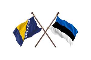 Bosnia versus Estonia Two Country Flags photo
