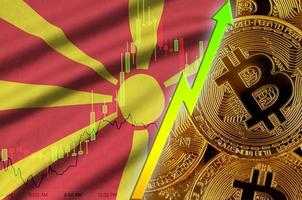 Macedonia flag and cryptocurrency growing trend with many golden bitcoins photo