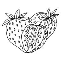 Strawberry group of two berries. Children and adults coloring book page. Whole ripe wild forest berry. vector