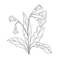 Hand drawn vector illustration of blooming meadow wildflower. Primula veris in doodle style. Logo design element for greeting cards, invitations.