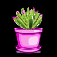 Snow White panda kalanchoe plant in pink clay pot in flat technique vector