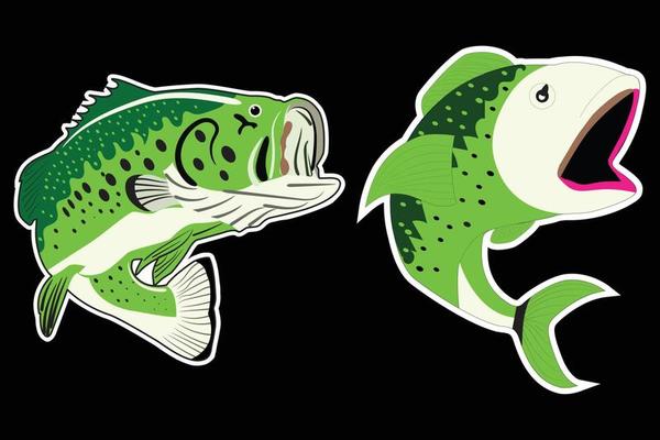 Free bass fish - Vector Art