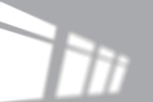 Window Sunlight Shadow Effect Overlay photo