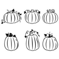 Autumn vegetable pumpkin, black outline, vector isolated illustration in doodle style