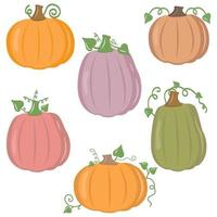 Vector set of orange pumpkins isolated on a white background.