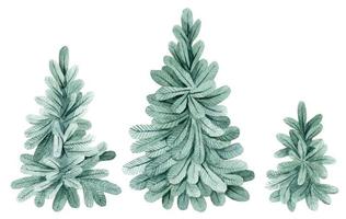 watercolor drawing, set of Christmas trees. cute fir trees on a white background. winter decorations