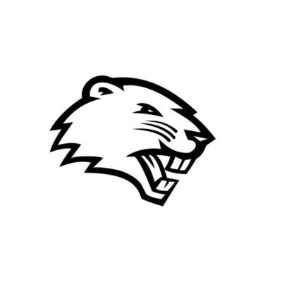 Angry North American Beaver Head Side View Mascot Black and White