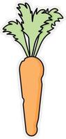 Juicy and ripe carrots vector