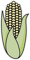 Fresh and ripe corn cob with leaves vector