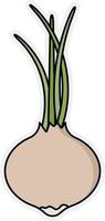 Fresh and ripe onions vector