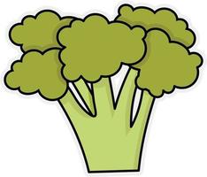 Fresh and mature broccoli vector