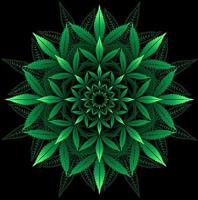 Mandala from cannabis leafPrint