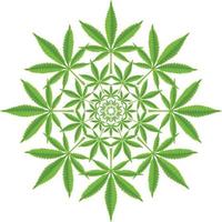 Cannabis outline pattern vector