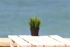 Flower pot with green plants in the city park. photo