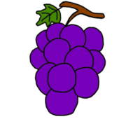 uva frutta illustrazione png