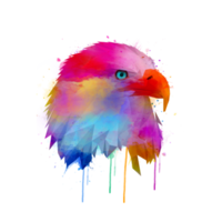 logotipo de la camiseta del águila americana de la acuarela fondo transparente png