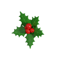 3d Natale vischio png