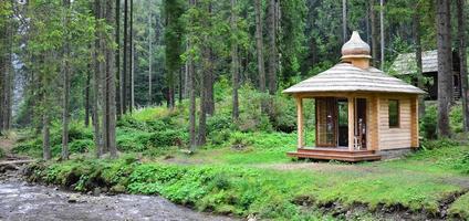 Small natural house, which is built of wood. The building is located in the forest photo