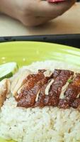 geschnittenes Fleisch auf Reisbett mit Beilage überzogen video