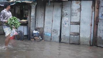 Flooding area, man walks by holding plants video