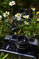 An old photo cameras from mid of 20th century in green field of daises