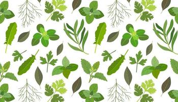 Seamless pattern with  spicy herbs. vector