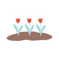 tres tulipanes en crecimiento vector