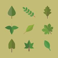 Flat Green Leaves vector