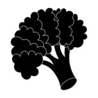 Broccoli. Silhouette. Cabbage inflorescence. Flowering stem. Useful vegetable. Harvesting. vector