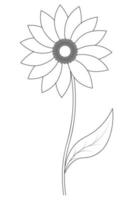 Sunflower. Solar flower. Sketch. Harvest seeds for processing into oil. Plant of the aster family. vector