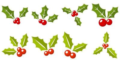 Set of holly berries in flat style isolated vector